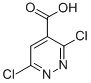 3_6_Dichloropyridazine_4_carboxylic acid